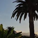Lovely La Palmita
