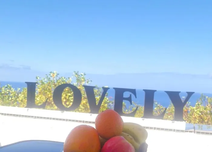 Lovely La Palmita *
