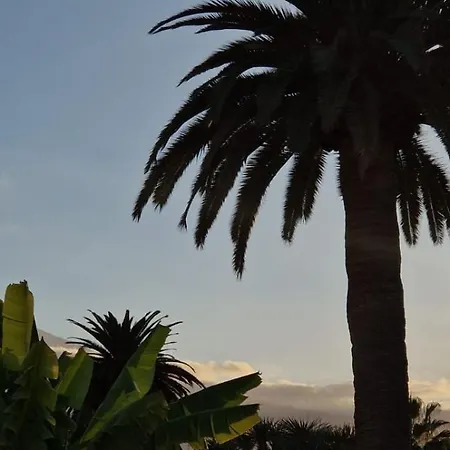 Lovely La Palmita