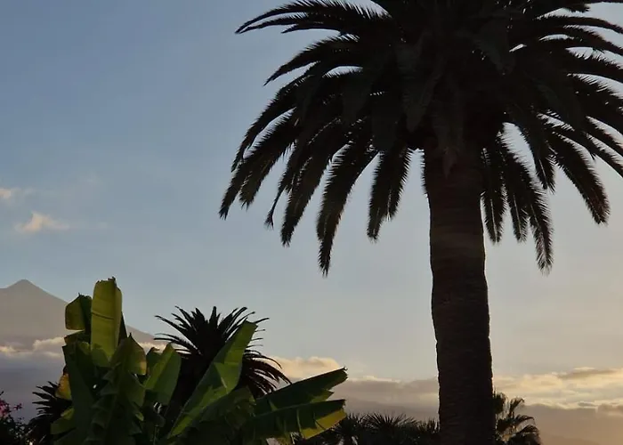 Lovely La Palmita